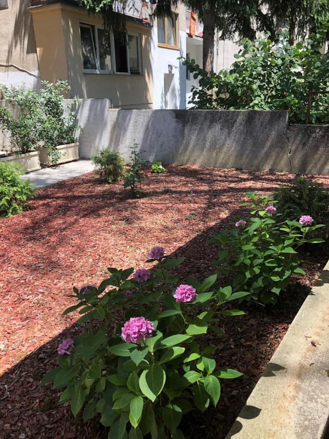 Rakuscha Apartment 萨格勒布 外观 照片