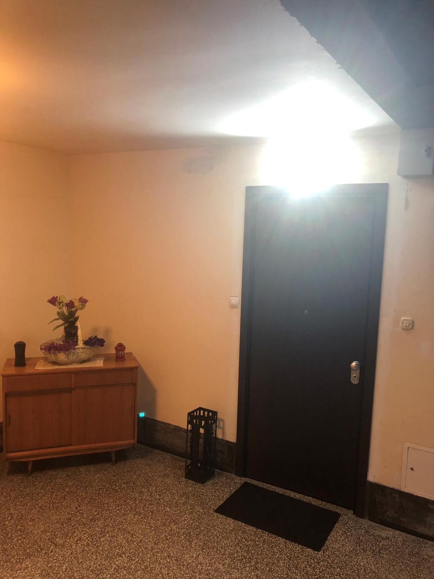 Rakuscha Apartment 萨格勒布 外观 照片